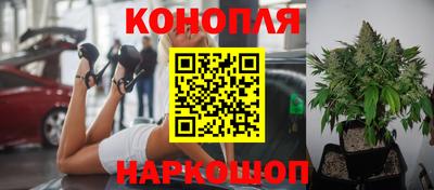 ECSTASY Лесосибирск