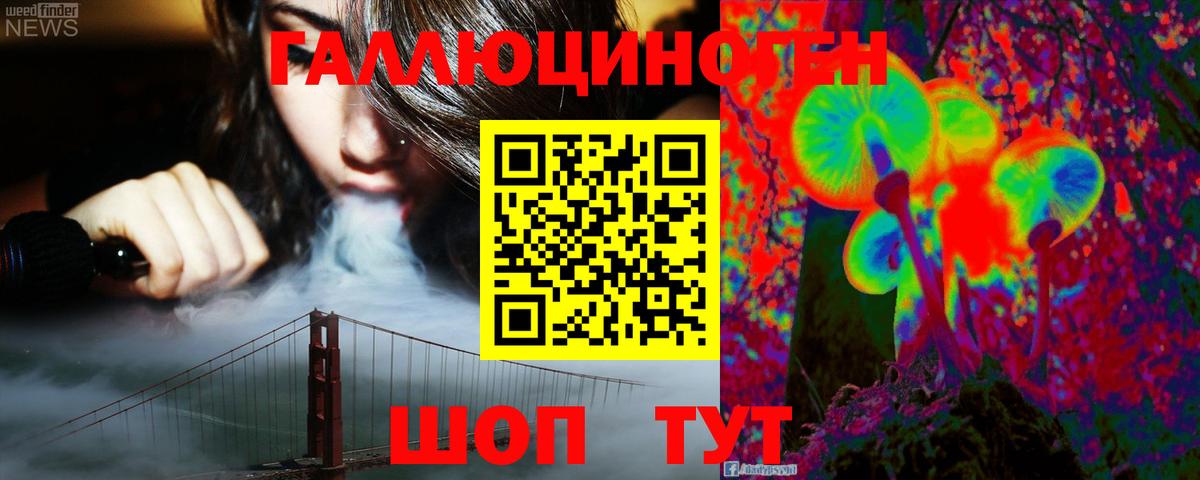 Псилоцибиновые грибы Psilocybe Южноуральск