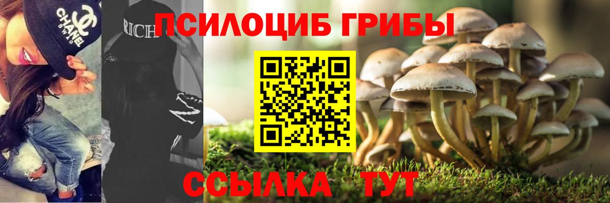 Южноуральск  Псилоцибиновые грибы мицелий  Вход с VPN  Галлюциногенные грибы ЛСД 